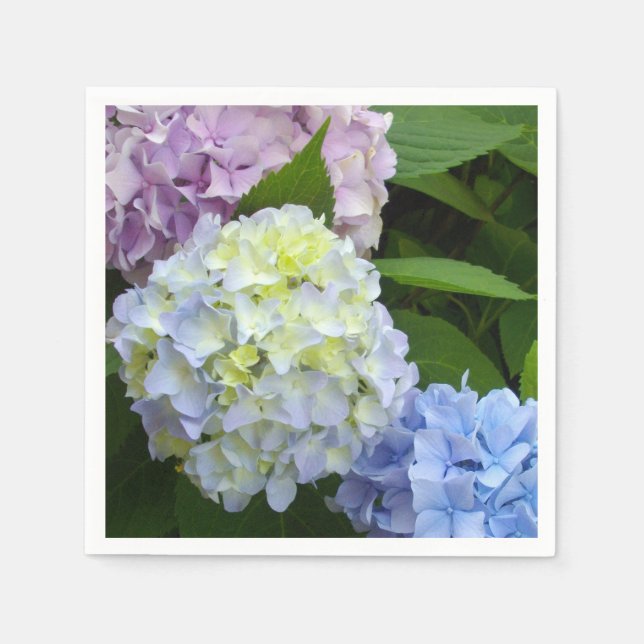 Hydrangeas Paper Napkins (Front)