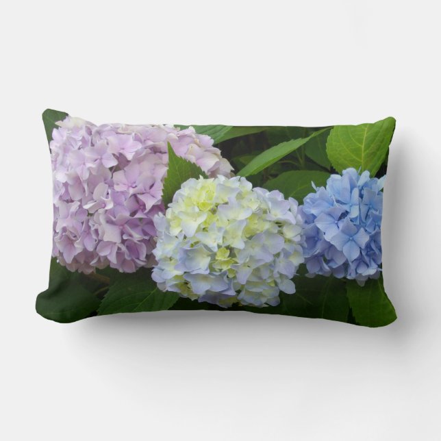 Hydrangeas, pink flowers, blue purple flowers lumbar pillow (Front)