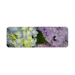 Hydrangeas pink purple blue label