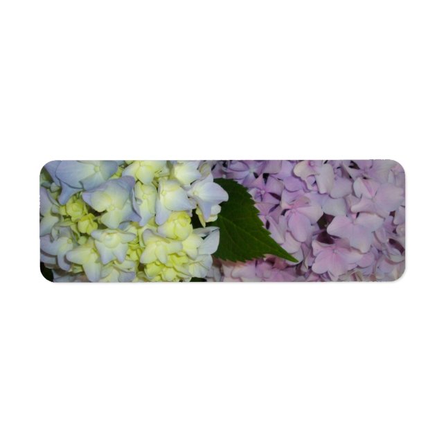 Hydrangeas pink purple blue label (Front)
