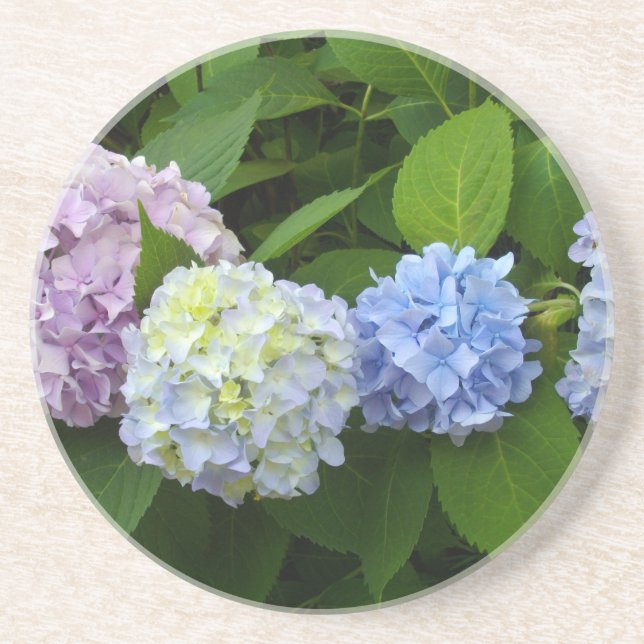 Hydrangeas Sandstone Coaster (Front)