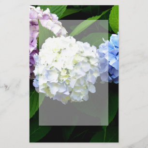 Hydrangeas Stationery