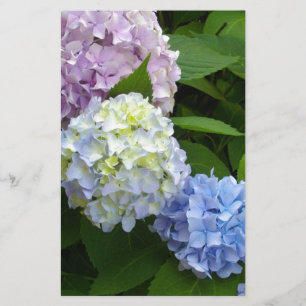 Hydrangeas Stationery