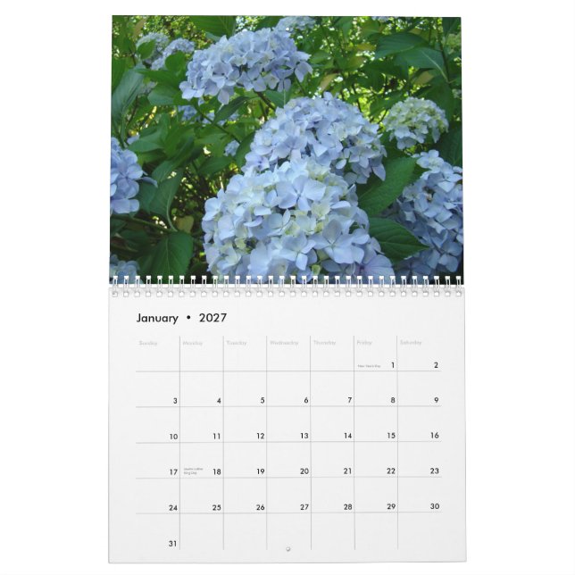 HYDRANGEAS White Roses Ferns Calendar Teacher (Jan 2027)
