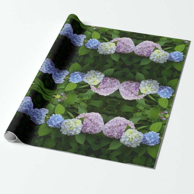 Hydrangeas Wrapping Paper (Unrolled)