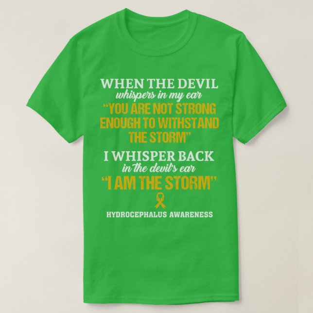 Hydrocephalus Awareness I Am The Storm In This Fam T-Shirt (Design Front)