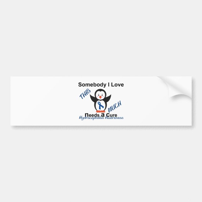 Hydrocephalus Awareness Someone I Love Bumper Sticker (Front)