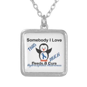 Hydrocephalus Awareness Someone I Love Silver Plated Necklace