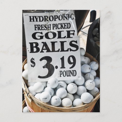Hydroponic Golf Balls Postcard