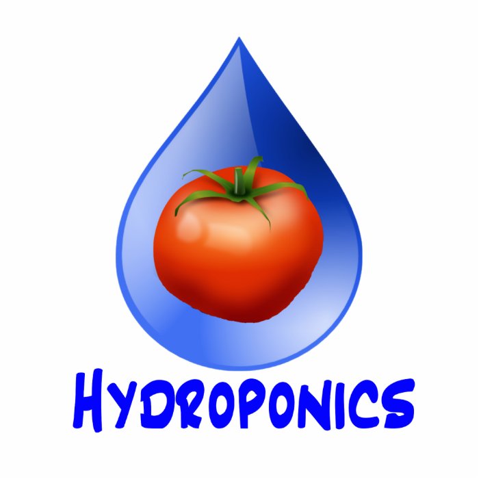 Hydroponic Tomato water drop design logo Photo Sculptures