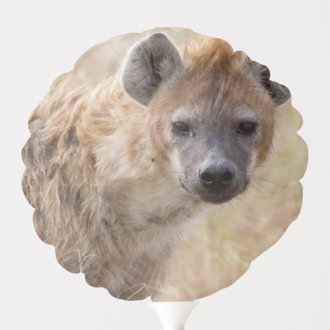 Hyena Balloon (Front)