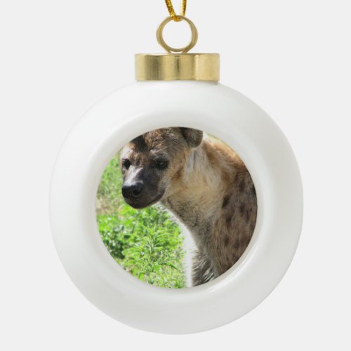 Hyena Ceramic Ball Christmas Ornament