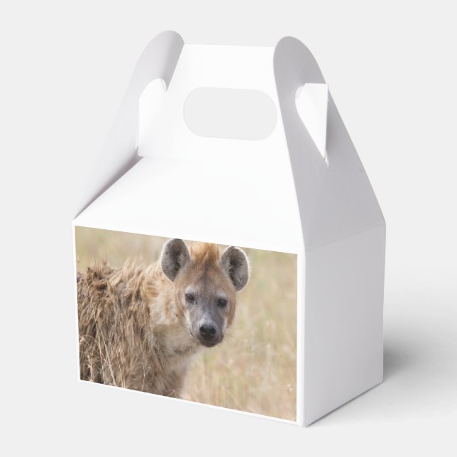 Hyena Favor Boxes (Back Side)