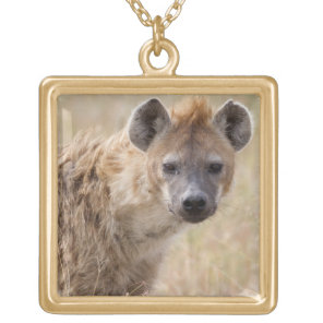 Hyena Gold Plated Necklace