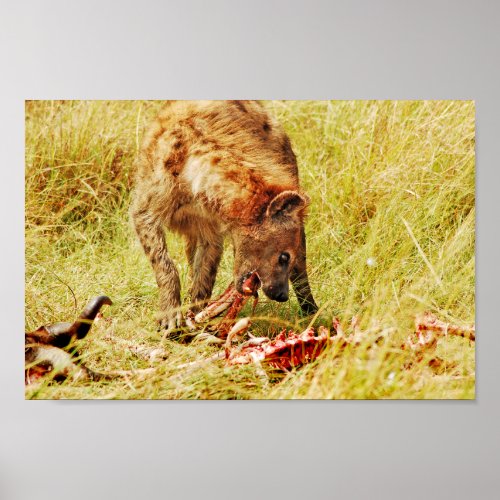 Hyena Kenya Masai Mara Poster