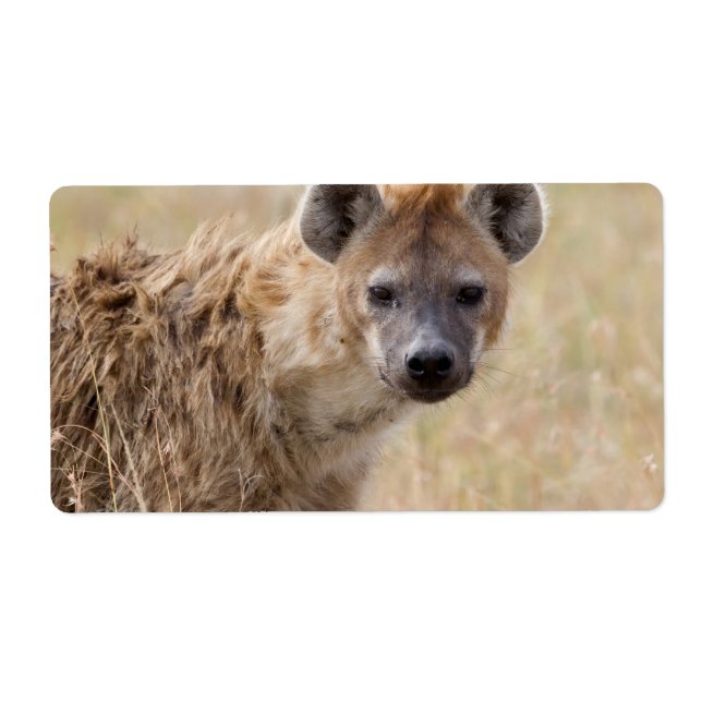 Hyena Label (Front)