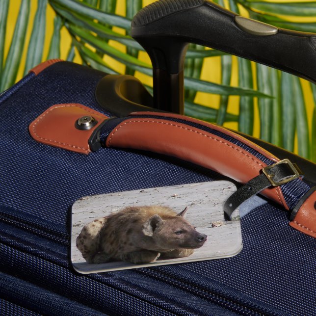 Hyena Luggage Tag (Front Insitu 3)