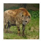 Hyena Prowl Tile