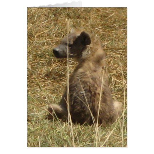 Hyena Pup Cards (Front)