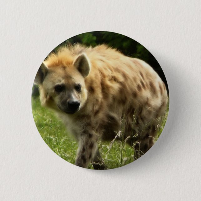 Hyena Round Pin (Front)
