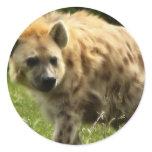 Hyena Sticker