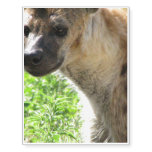 Hyena Temporary Tattoos