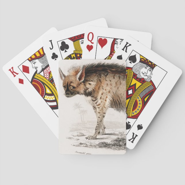 Hyena vintage illustrated poker cards (Back)