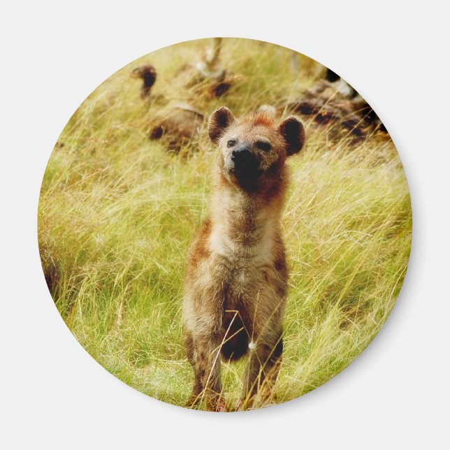 Hyena with wildebeest (gnu) magnet (Front)