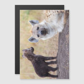 Hyena with young one (Front/Back)