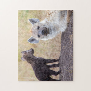 Hyena with young one jigsaw puzzle