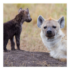 Hyena with young one poster