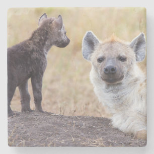 Hyena with young one stone coaster