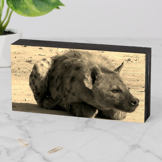 Hyena Wooden Box Sign (In Situ Horizontal)