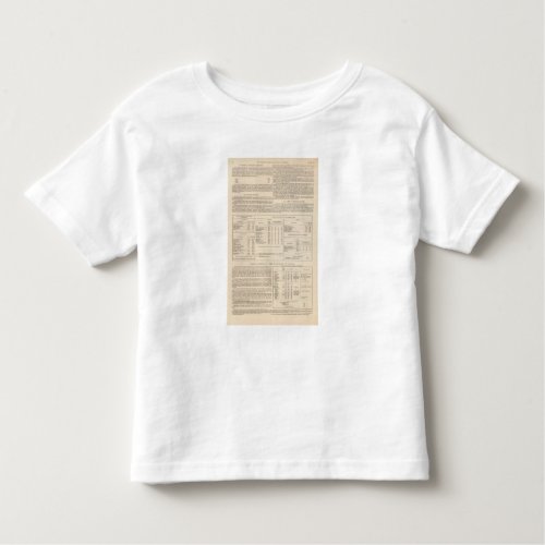 Hyetographic or Rain Map of the World continued Toddler T_shirt