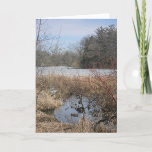 "Hyland Lake Ducks #1" Thank You Card