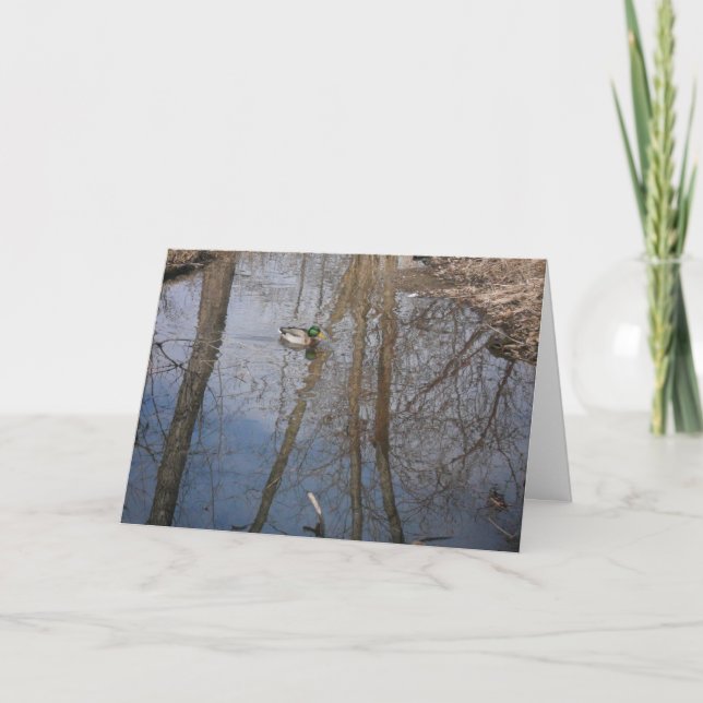 "Hyland Lake Mallard #1" Thank You Card (Front)