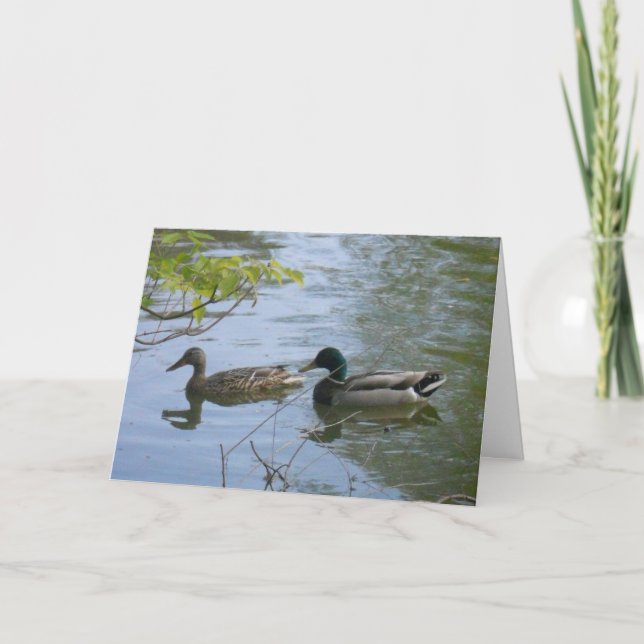 "Hyland May Day Mallards #2" Thank You Card (Front)