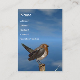 HYPER BIRDS / ROBIN RED BREAST BUSINESS CARD