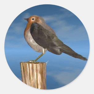 HYPER BIRDS / ROBIN RED BREAST CLASSIC ROUND STICKER