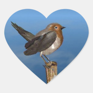 HYPER BIRDS / ROBIN RED BREAST HEART STICKER