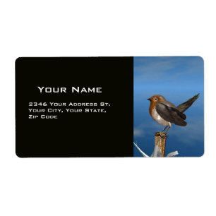 HYPER BIRDS / ROBIN RED BREAST LABEL