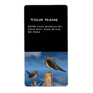 HYPER BIRDS / ROBIN RED BREAST LABEL