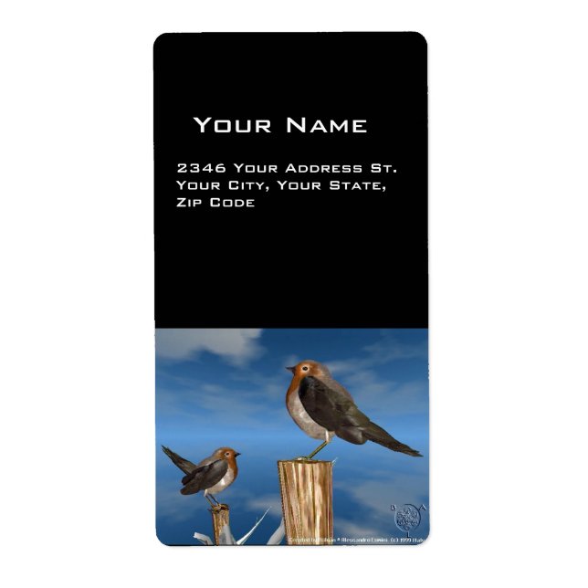 HYPER BIRDS / ROBIN RED BREAST LABEL (Front)