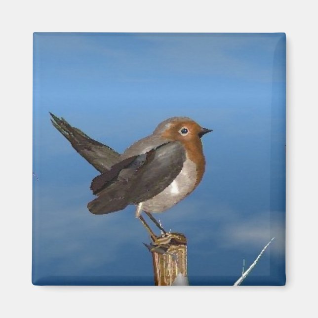 HYPER BIRDS / ROBIN RED BREAST MAGNET (Front)