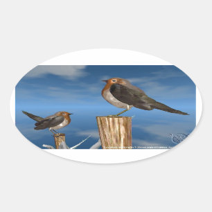 HYPER BIRDS / ROBIN RED BREAST OVAL STICKER
