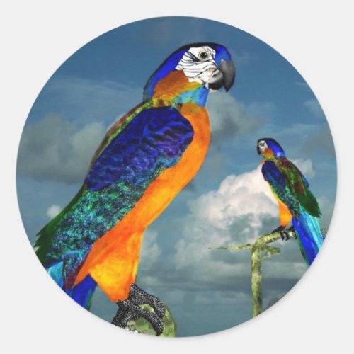 HYPER PARROTS  BLUE ARA CLASSIC ROUND STICKER