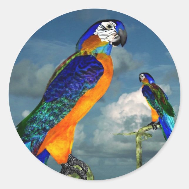 HYPER PARROTS / BLUE ARA CLASSIC ROUND STICKER (Front)