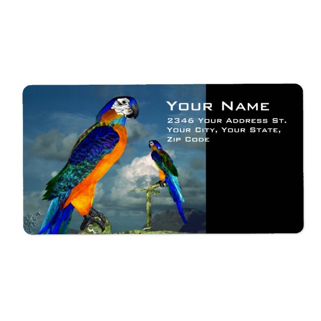 HYPER PARROTS / BLUE ARA LABEL (Front)