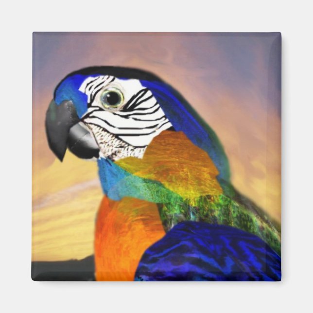 HYPER PARROTS / BLUE ARA MAGNET (Front)