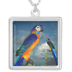 HYPER PARROTS / BLUE ARA SILVER PLATED NECKLACE
